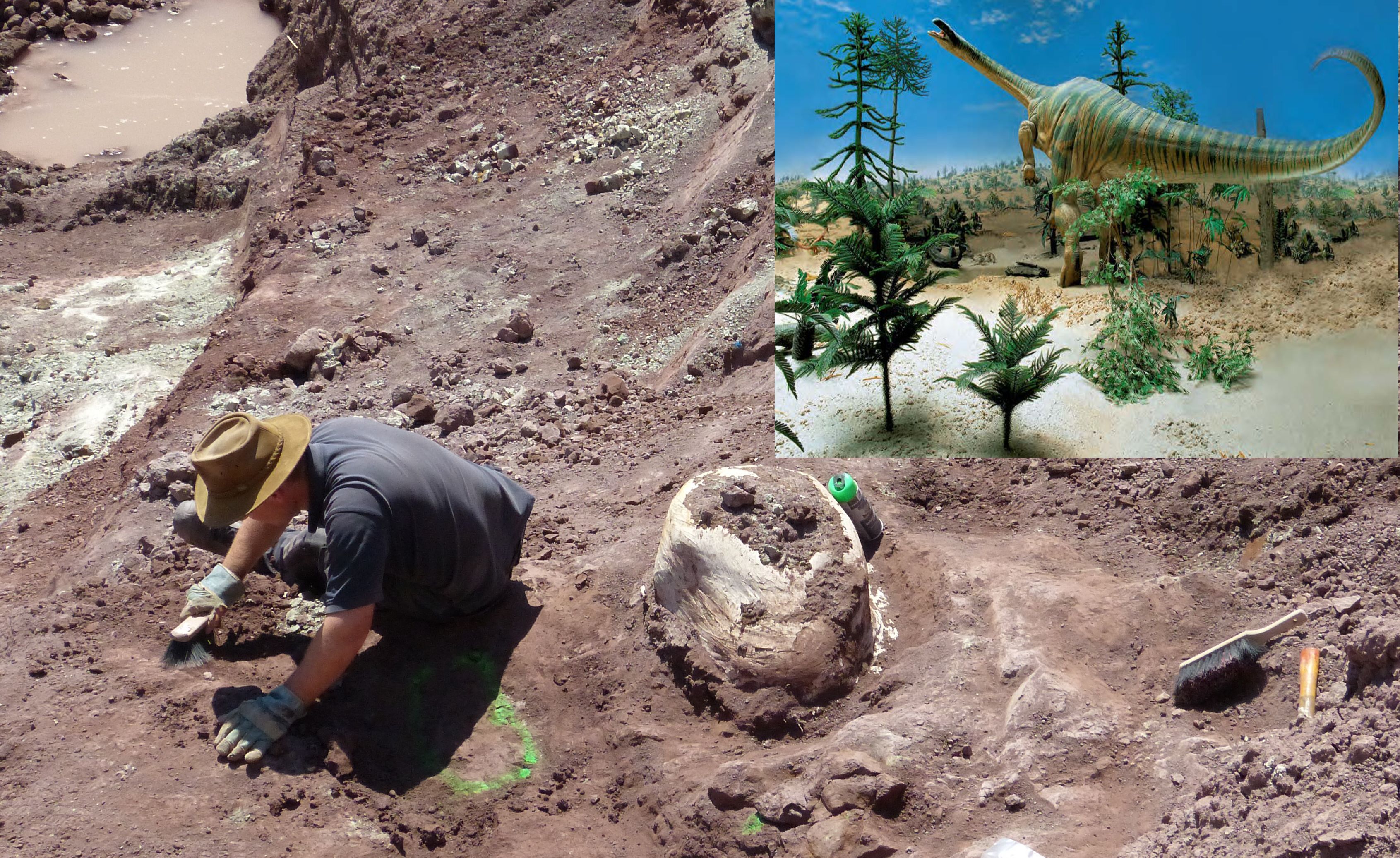 Trias Grabungsstätte Trossingen mit Plateosaurus