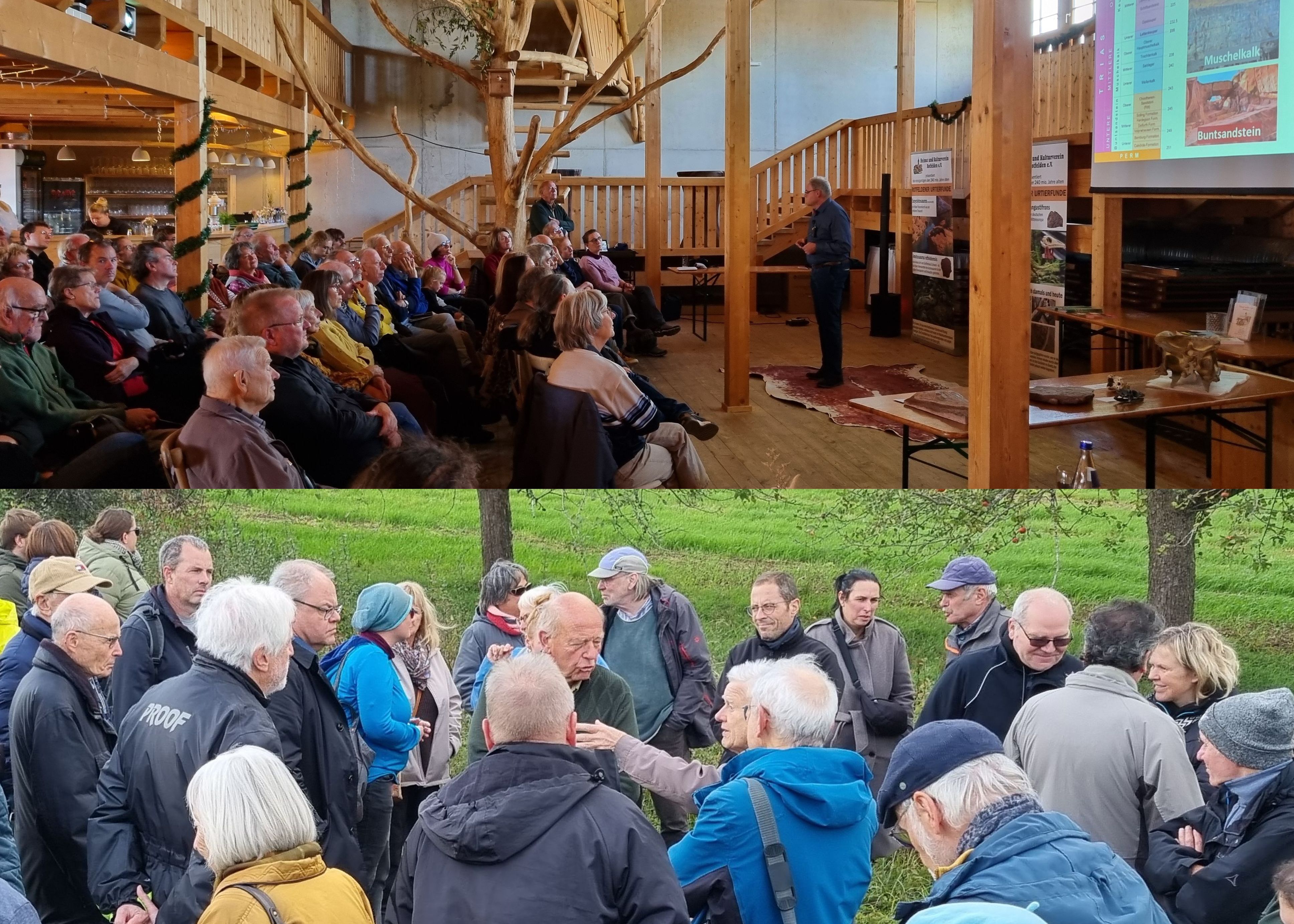 Treffen der Saurier Experten in Rotfelden